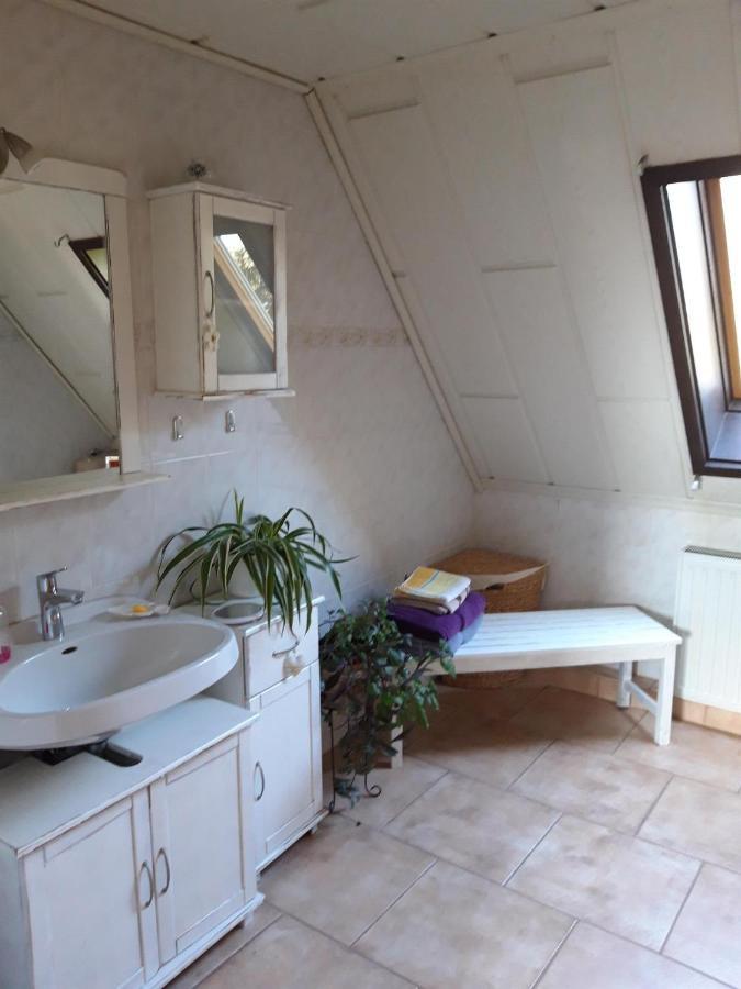 Ferienwohnung auf dem Land Rochlitz Exterior foto
