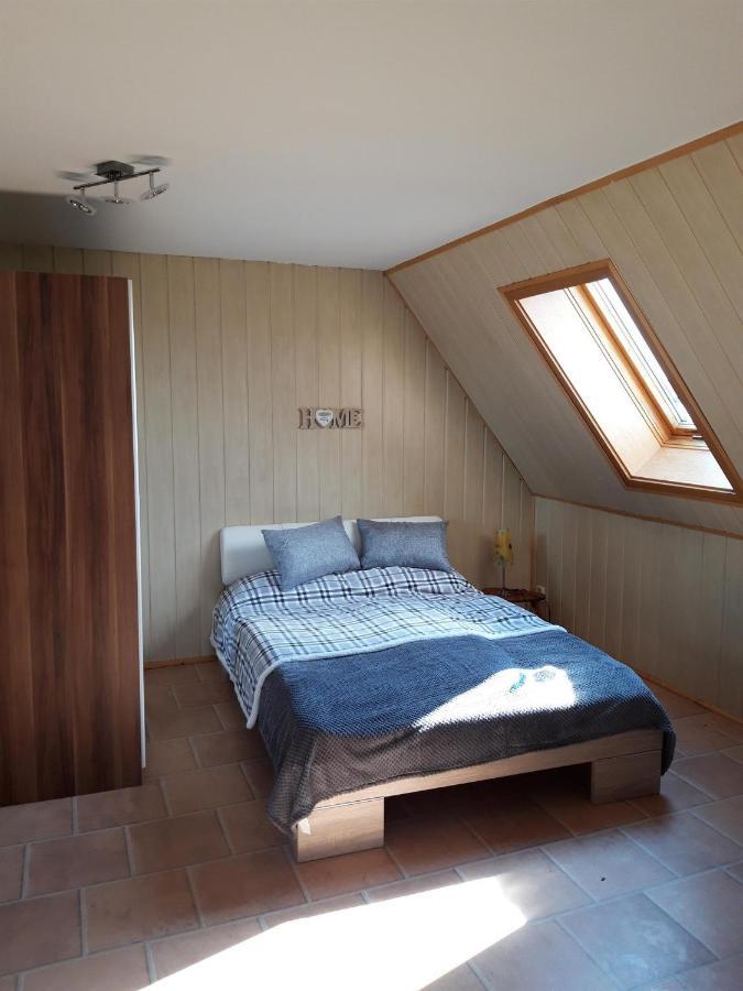 Ferienwohnung auf dem Land Rochlitz Exterior foto